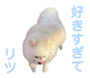856600765