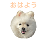 856600768