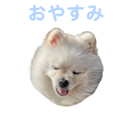 856600769