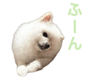 856600776