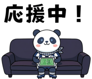 856600994