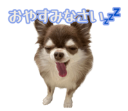856601069