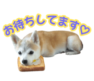 856601070