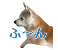 856601072