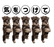 856601268