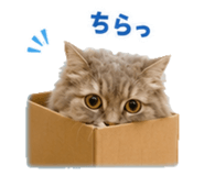 856601813