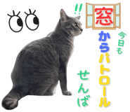 856602881