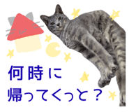 856602883