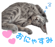 856602888