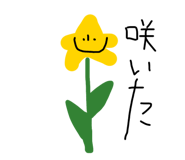 856602942