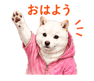 856603665