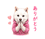856603669