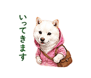 856603675