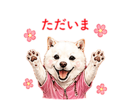 856603676
