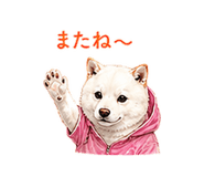 856603677