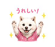 856603680