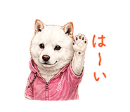 856603681
