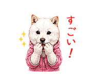 856603686