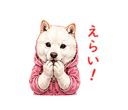 856603687