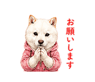 856603692