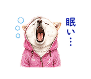 856603694