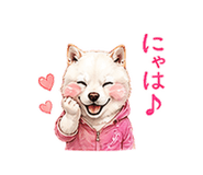 856603695