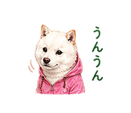 856603696