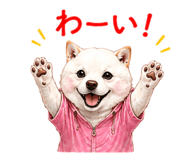 856603698