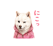 856603700