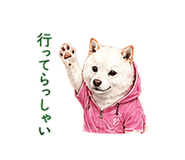 856603701