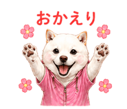 856603702