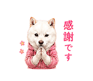 856603703