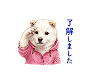 856603704