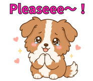 856603730