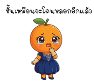 856604353
