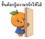 856604355