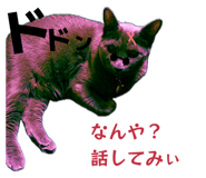 856604389