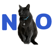 856604398