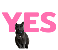 856604399