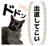 856604400
