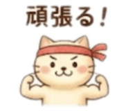 856604425