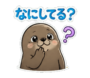 856604938