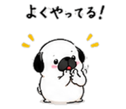 856605050