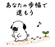 856605053