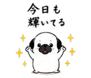 856605057