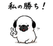 856605061