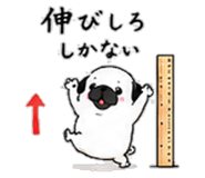 856605062
