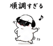 856605066