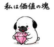 856605070
