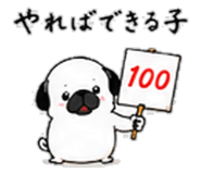 856605080